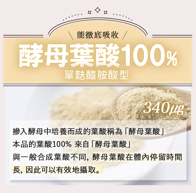 酵母葉酸