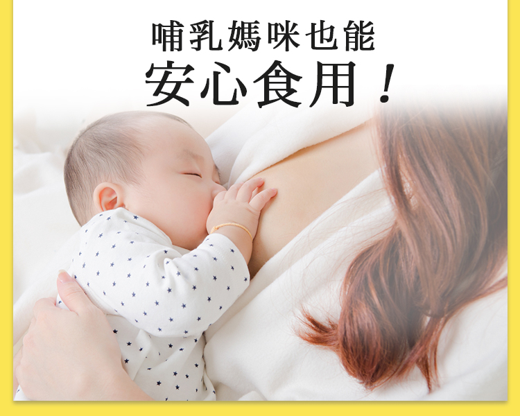 安心安全堅持