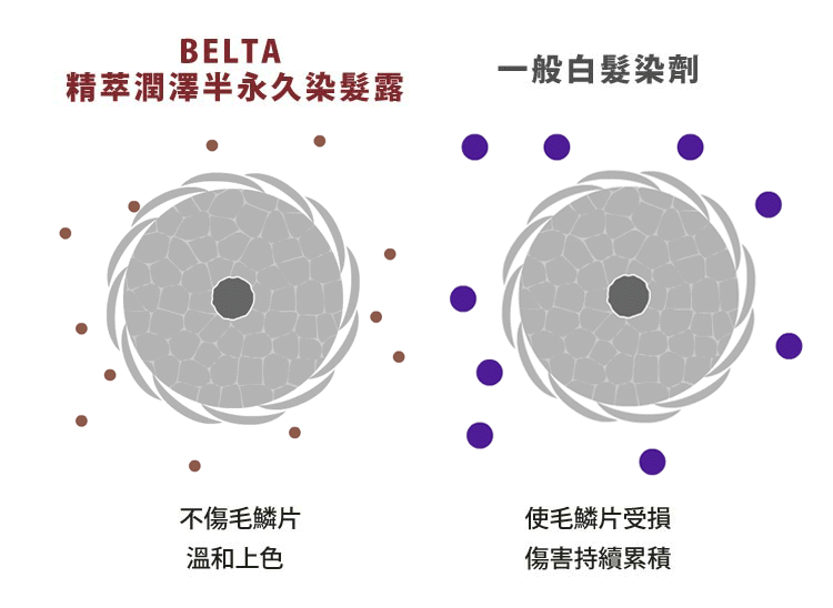 不傷毛鱗片