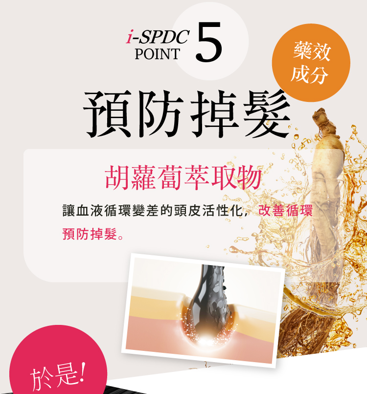 預防掉髮