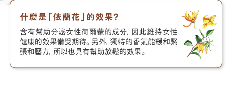 依蘭花效果