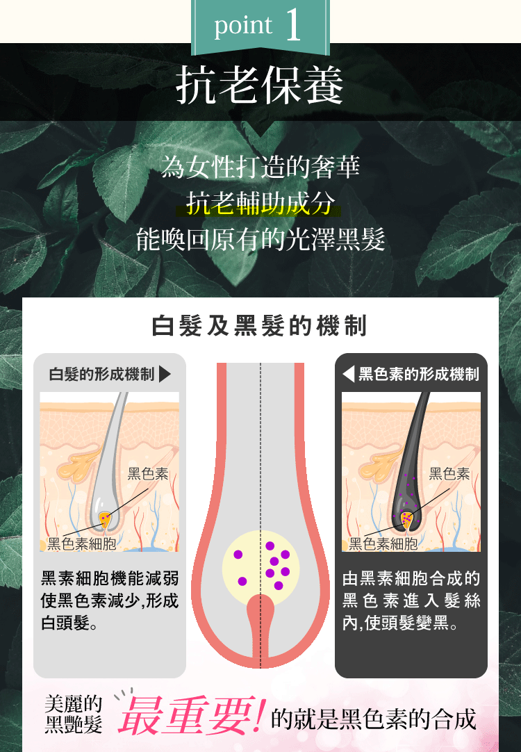 抗老保養