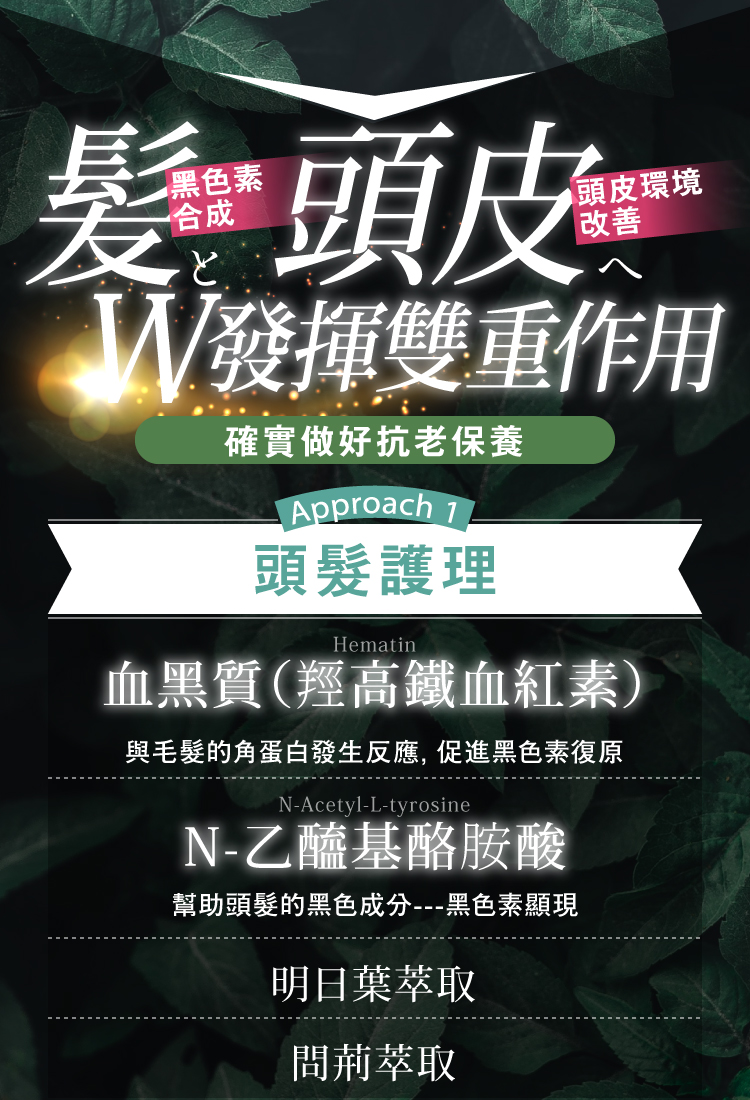 頭髮頭皮雙重發揮作用