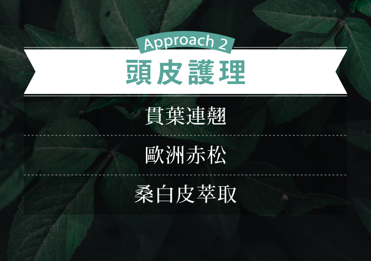 頭皮護理