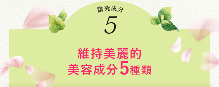 BELTA葉酸講究成分