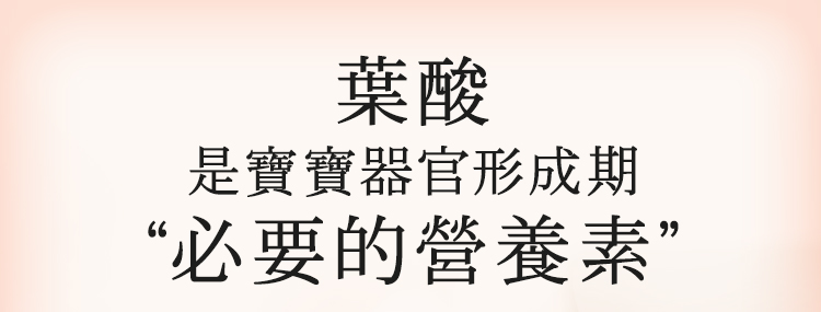 懷孕女性多攝取400微克葉酸