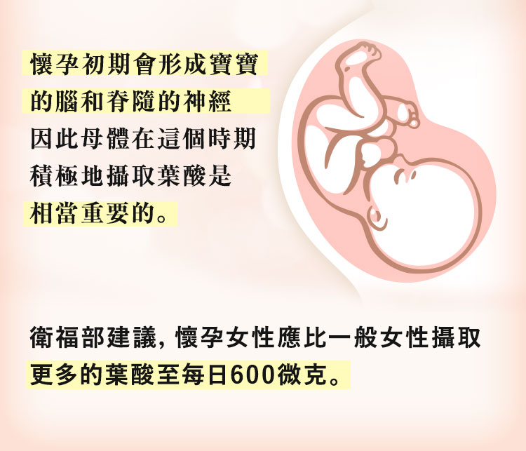 懷孕女性多攝取400微克葉酸