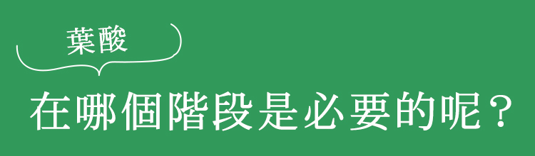 葉酸的必備階段