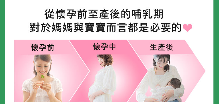 懷孕前至生產後
