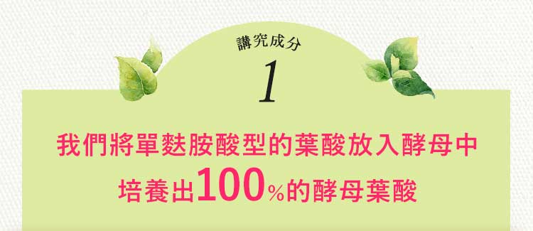 BELTA葉酸講究成分