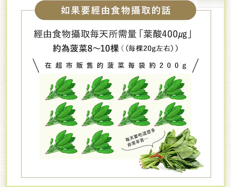 BELTA葉酸講究成分