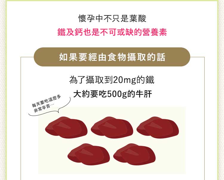 BELTA葉酸講究成分