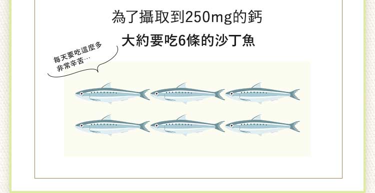 BELTA葉酸講究成分