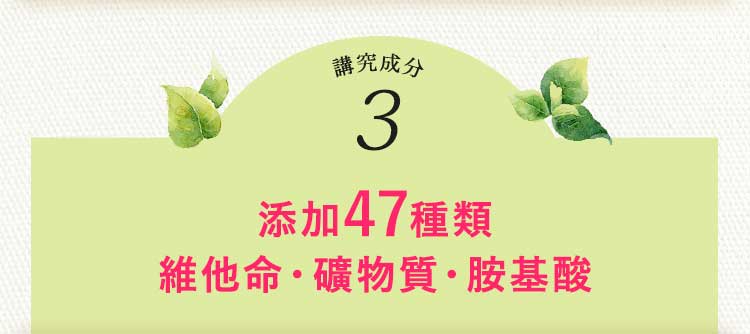 BELTA葉酸講究成分