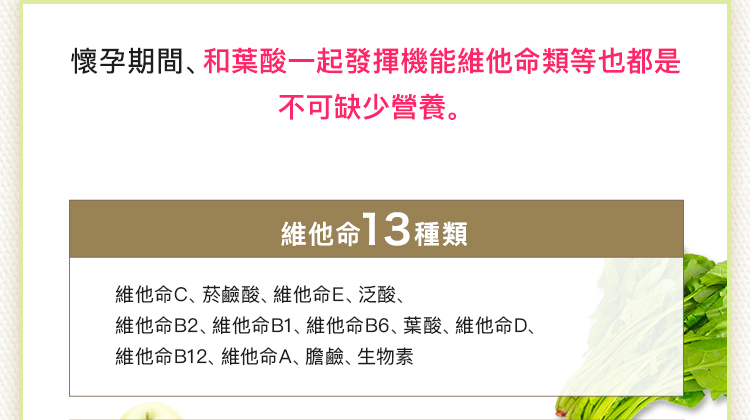 BELTA葉酸講究成分