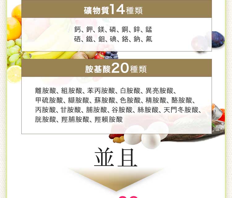 BELTA葉酸講究成分