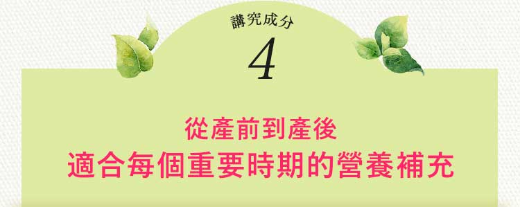 BELTA葉酸講究成分