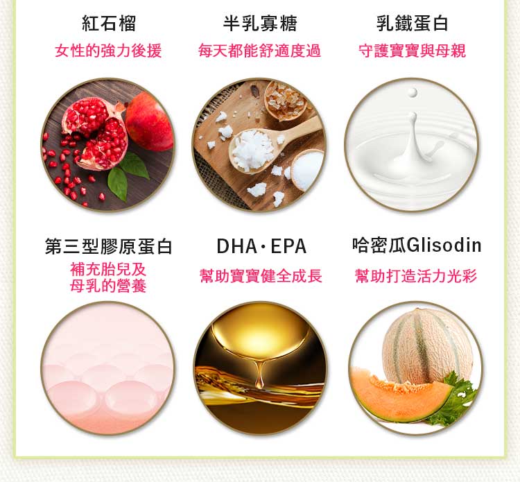 BELTA葉酸講究成分