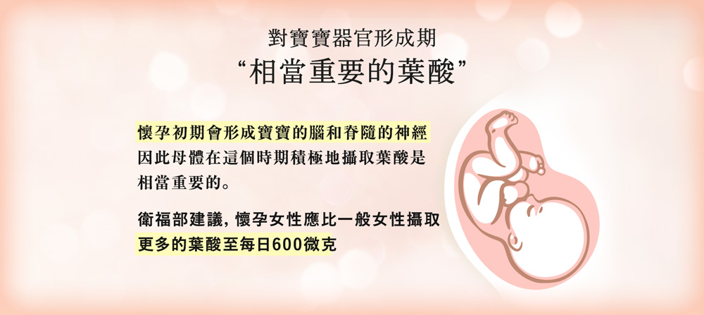 葉酸食用方式