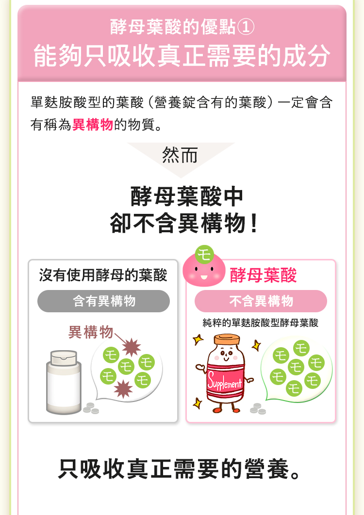 酵母葉酸優點