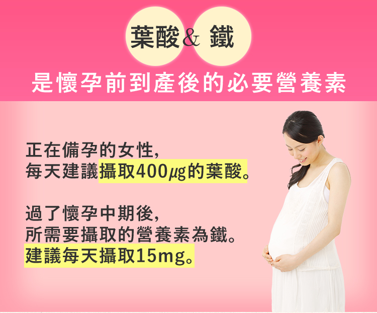 葉酸、鐵的重要性