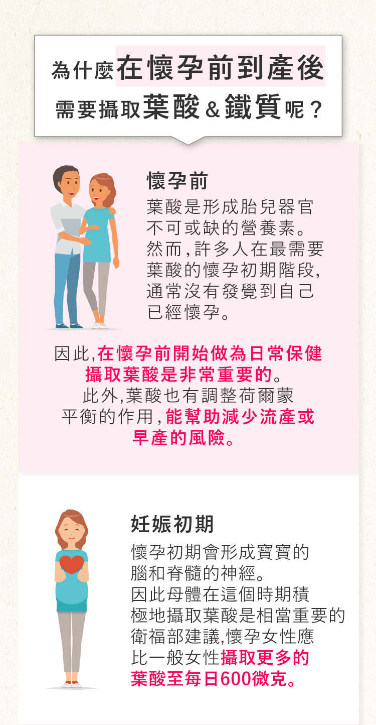 葉酸、鐵的重要性