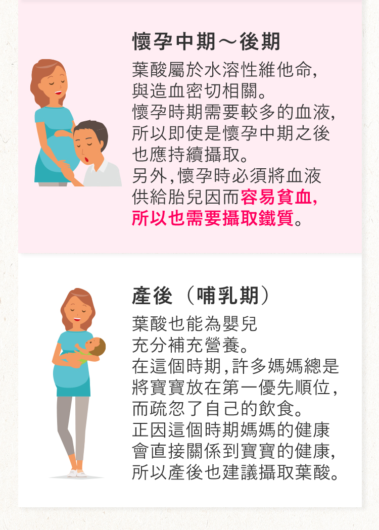 葉酸、鐵的重要性