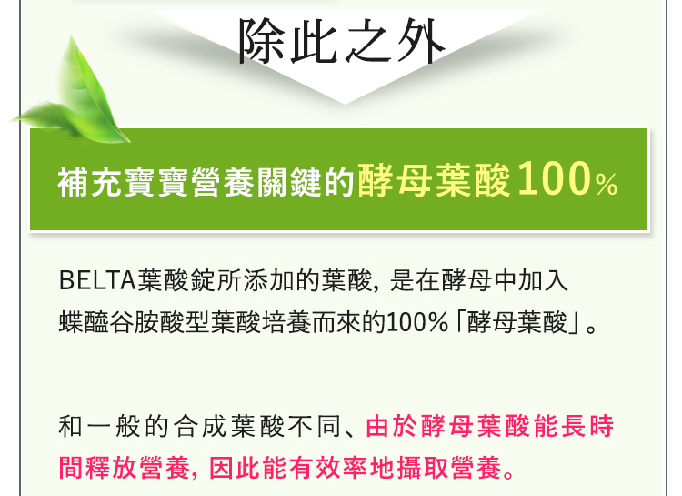 100%酵母葉酸