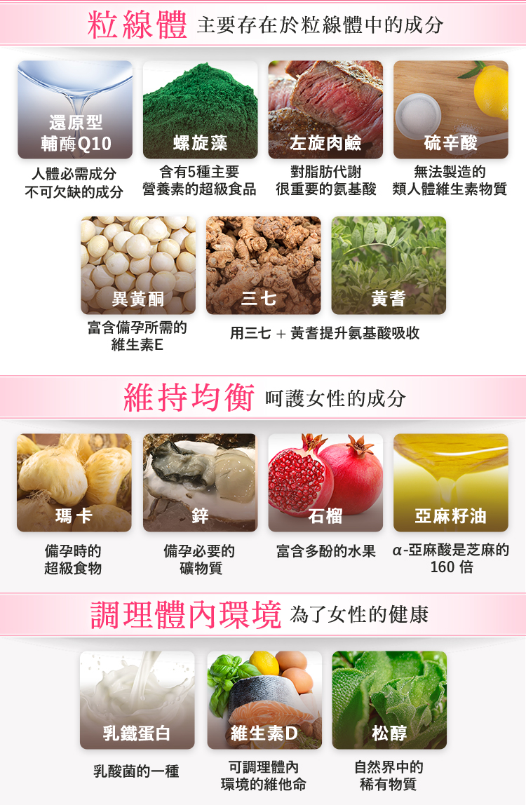 粒線體