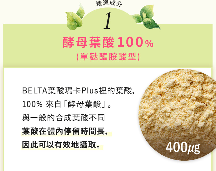 單麩胺酸型酵素葉酸100%
