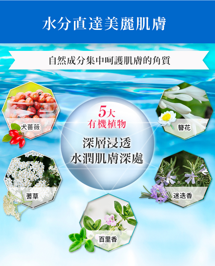 深層浸透水潤肌膚