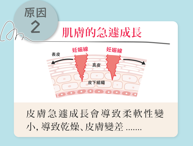 肌膚急遽成長