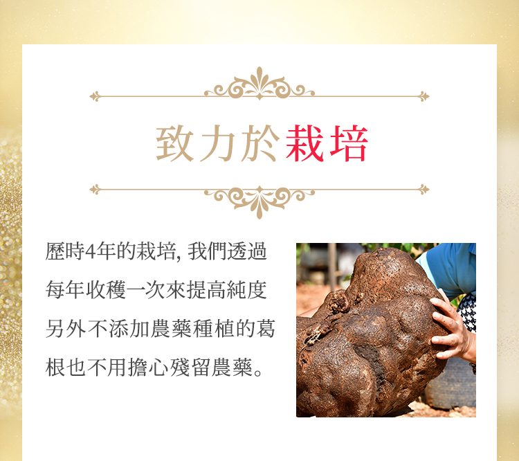 BELTA白高顆