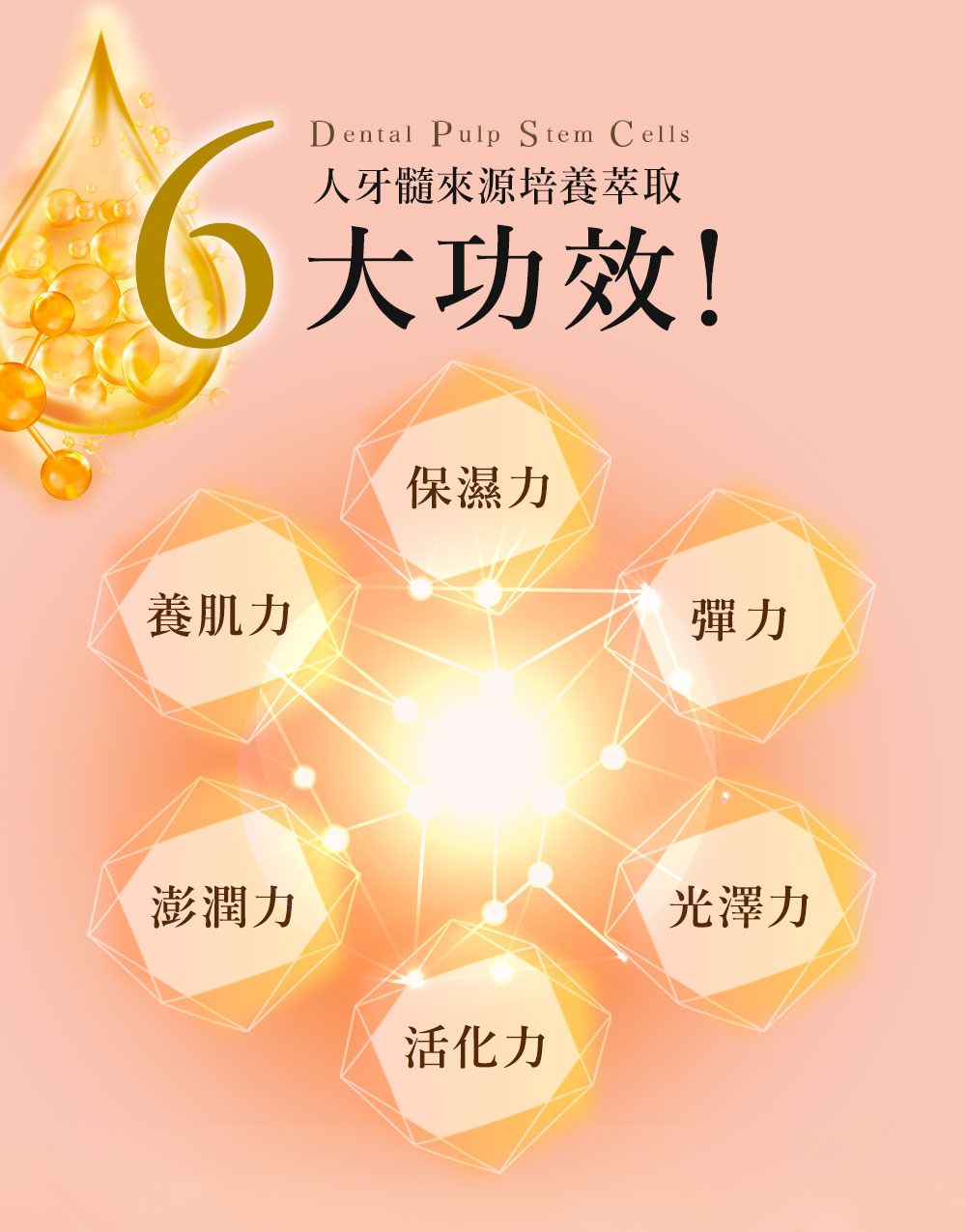 六大功效