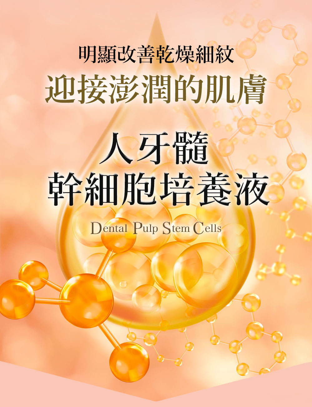 澎潤肌膚